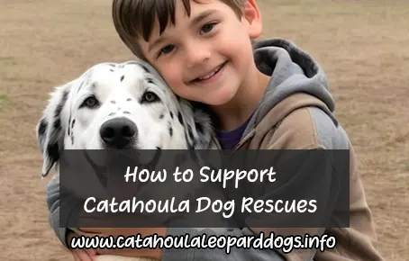 How to Support Catahoula Dog Rescues